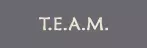 T.E.A.M.